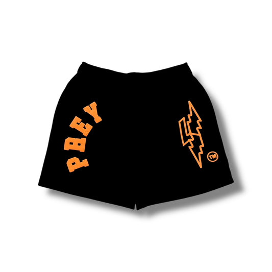 Collegiate Shorts
